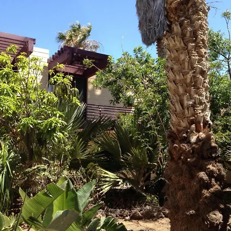 South Tenerife, Cozy *