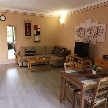 South Tenerife, Cozy