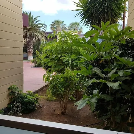 Appartement South Tenerife, Cozy *